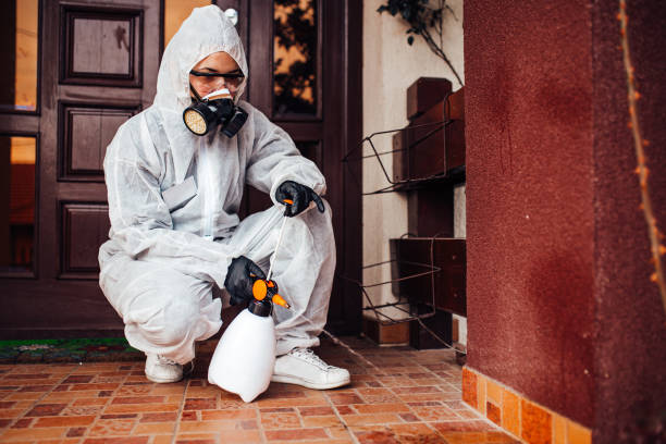 Reliable Ant Control contractor in Ecru, MS by Nex Pest Control